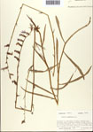 000093749-thumbnail.jpg