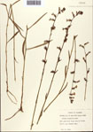 000093750-thumbnail.jpg