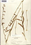 000093751-thumbnail.jpg