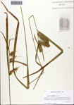 000093754-thumbnail.jpg