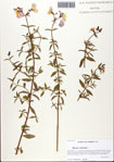 000093755-thumbnail.jpg