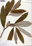 000093779-thumbnail.jpg