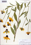 000093788-thumbnail.jpg