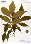 000093790-thumbnail.jpg