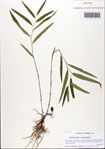 000093791-thumbnail.jpg