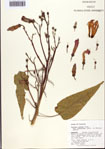 000093803-thumbnail.jpg