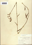 000093813-thumbnail.jpg