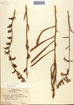 000093814-thumbnail.jpg