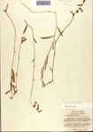 000093815-thumbnail.jpg