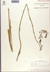 000093830-thumbnail.jpg