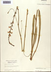 000093831-thumbnail.jpg