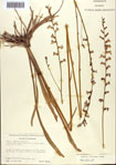 000093832-thumbnail.jpg