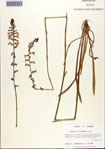 000093833-thumbnail.jpg