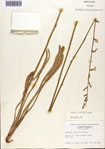 000093834-thumbnail.jpg