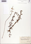 000093837-thumbnail.jpg