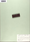000093844-thumbnail.jpg