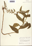 000093846-thumbnail.jpg