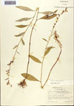 000093847-thumbnail.jpg