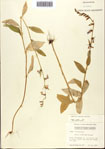 000093848-thumbnail.jpg