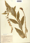 000093849-thumbnail.jpg