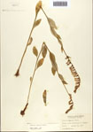 000093852-thumbnail.jpg