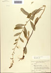 000093853-thumbnail.jpg