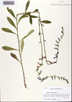 000093922-thumbnail.jpg