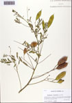 000093936-thumbnail.jpg