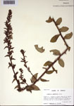 000097291-thumbnail.jpg