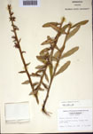 000097389-thumbnail.jpg