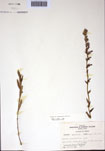 000097390-thumbnail.jpg