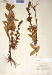 000097398-thumbnail.jpg