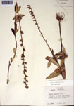 000097399-thumbnail.jpg