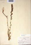 000097400-thumbnail.jpg