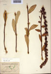 000097401-thumbnail.jpg