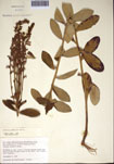 000097403-thumbnail.jpg
