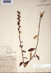 000097404-thumbnail.jpg