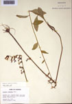 000097408-thumbnail.jpg