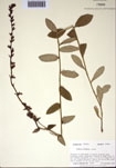000097473-thumbnail.jpg
