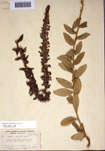 000097474-thumbnail.jpg