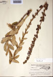 000097475-thumbnail.jpg