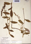 000097476-thumbnail.jpg