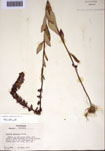000097478-thumbnail.jpg