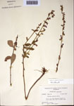 000097480-thumbnail.jpg