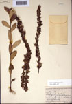 000097481-thumbnail.jpg