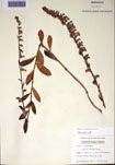 000097482-thumbnail.jpg