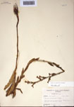 000097483-thumbnail.jpg