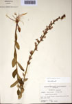 000097484-thumbnail.jpg