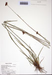 000102898-thumbnail.jpg