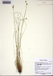 000102901-thumbnail.jpg